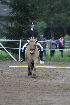 Bild 393 - WBO-Turnier am 18.9.11